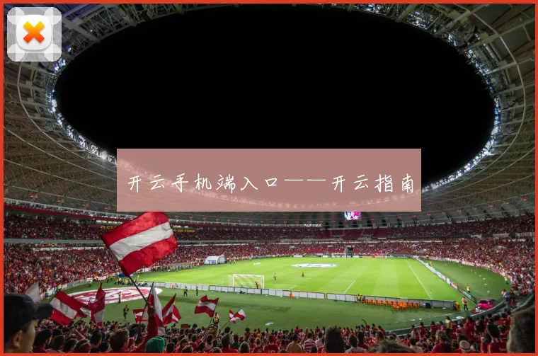 开云手机端入口——开云指南