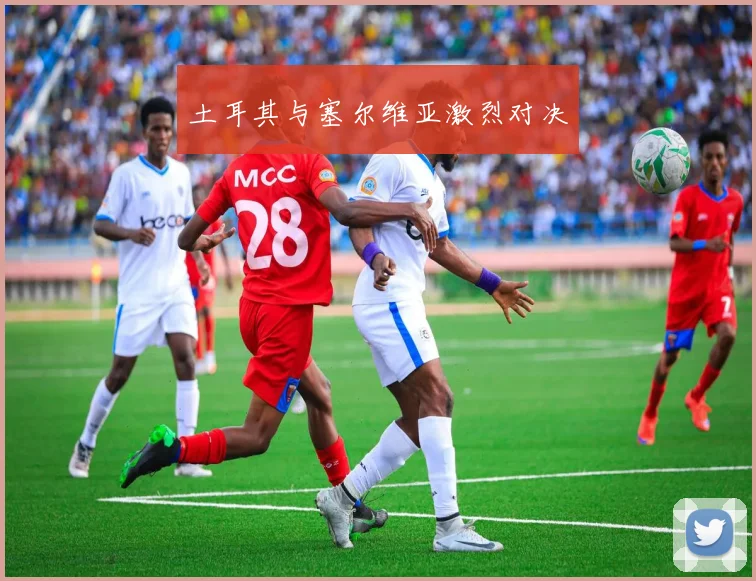 土耳其与塞尔维亚激烈对决