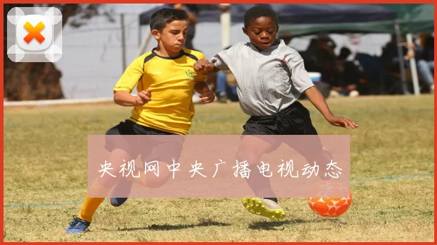 央视网中央广播电视动态