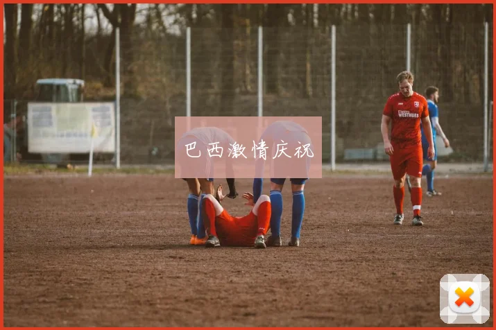 巴西激情庆祝