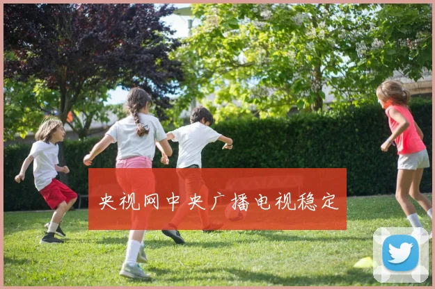 央视网中央广播电视稳定