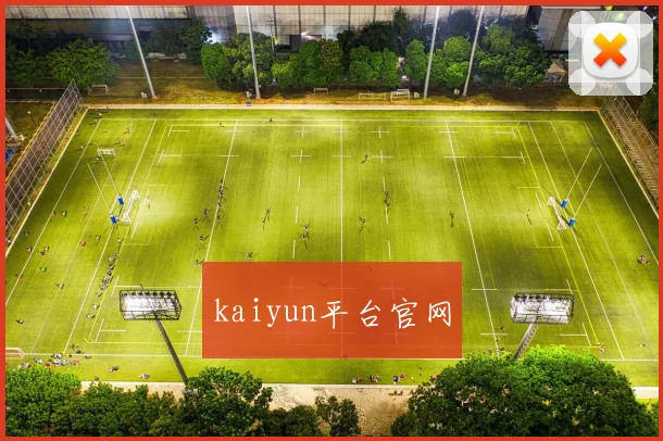 kaiyun平台官网