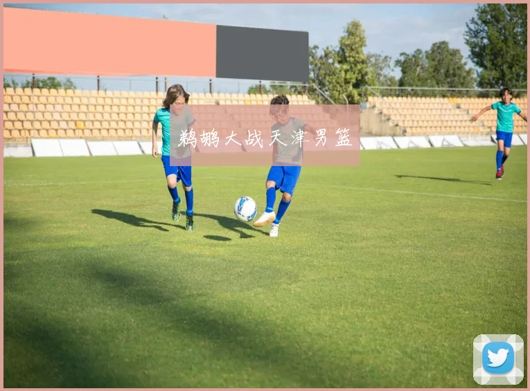 鹈鹕大战天津男篮