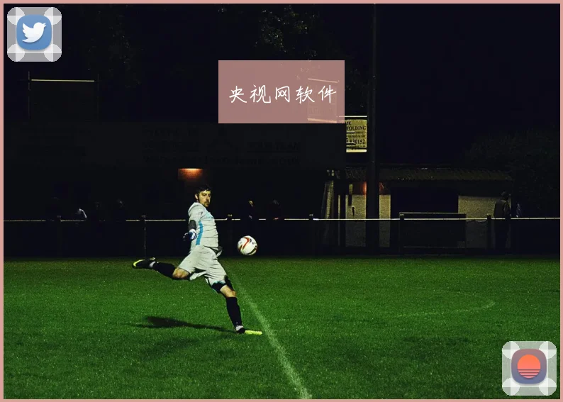 央视网软件