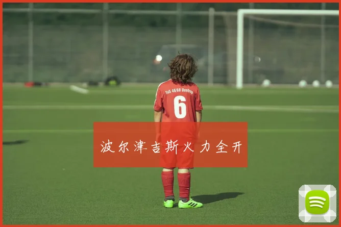 波尔津吉斯火力全开