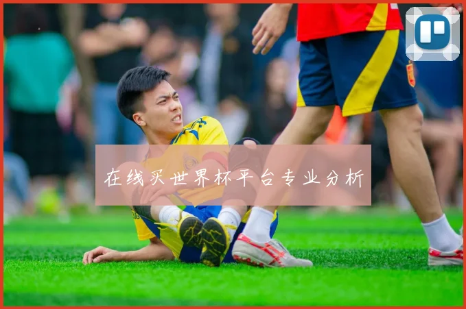 在线买世界杯平台专业分析