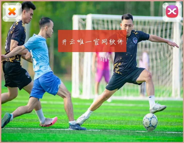开云唯一官网软件