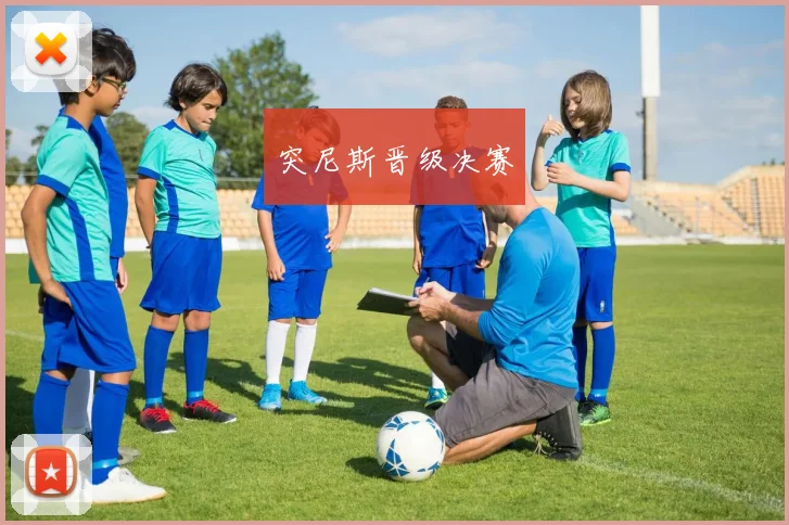 突尼斯晋级决赛