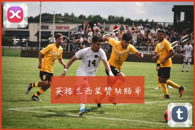 英格兰西装赞助赔率