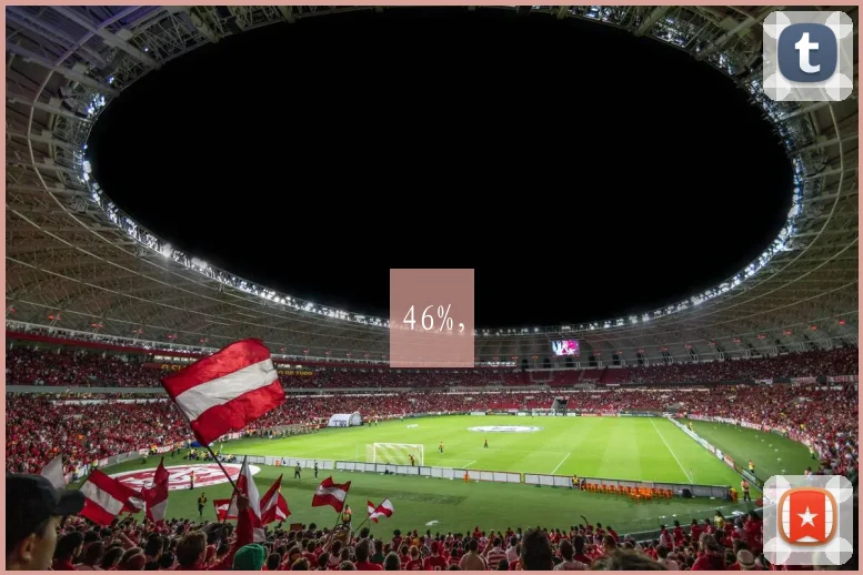 46%，