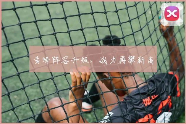 黄蜂阵容升级，战力再攀新高