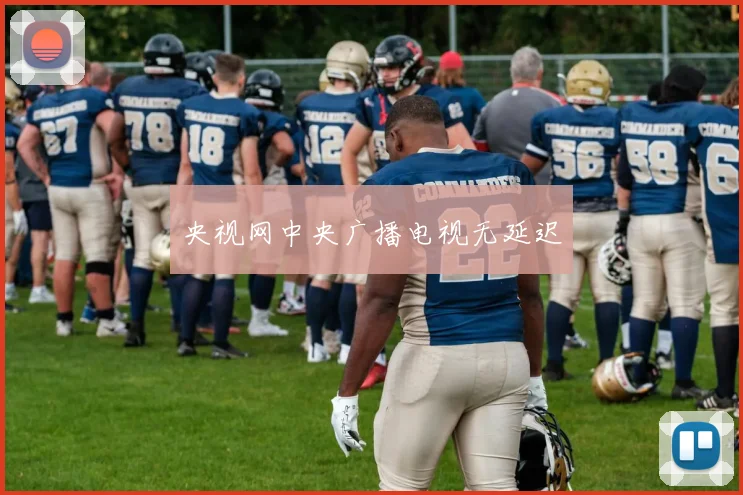 央视网中央广播电视无延迟