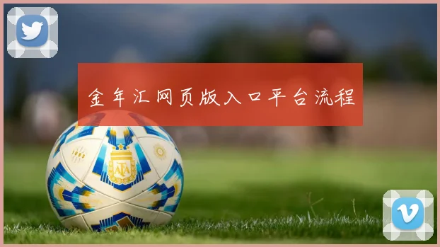 金年汇网页版入口平台流程
