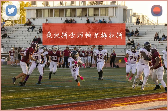 桑托斯会师帕尔梅拉斯