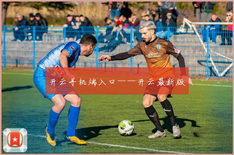 开云手机端入口——开云最新版