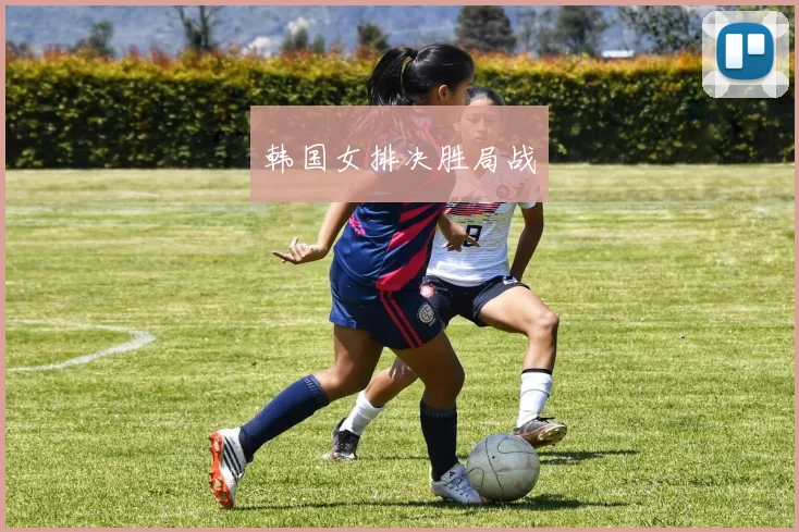 韩国女排决胜局战