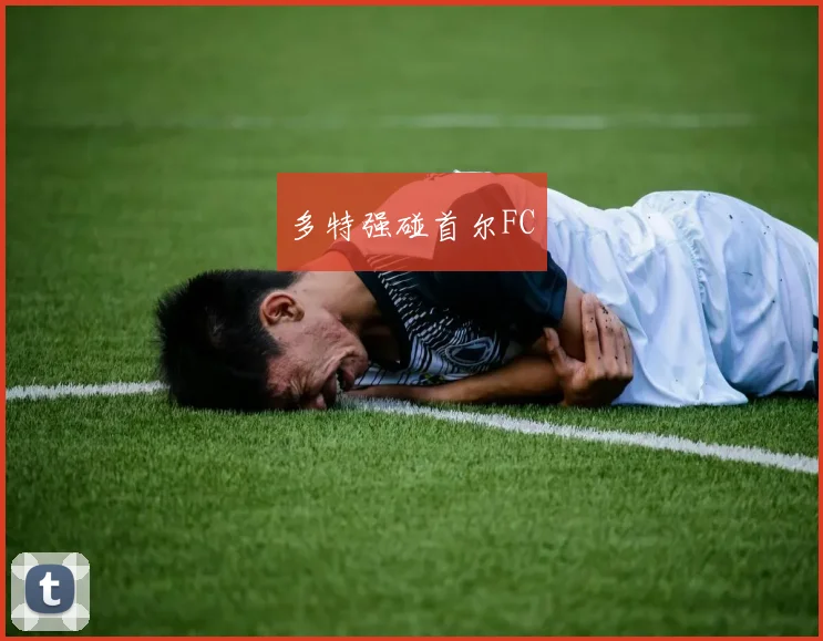 多特强碰首尔FC