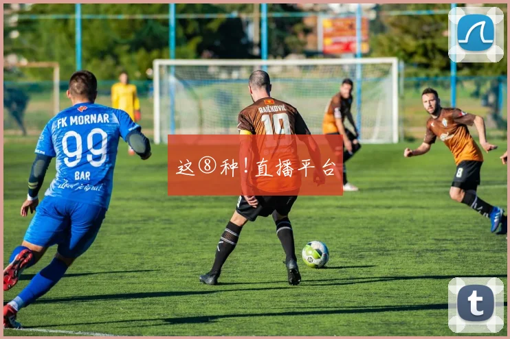 这⑧种!直播平台