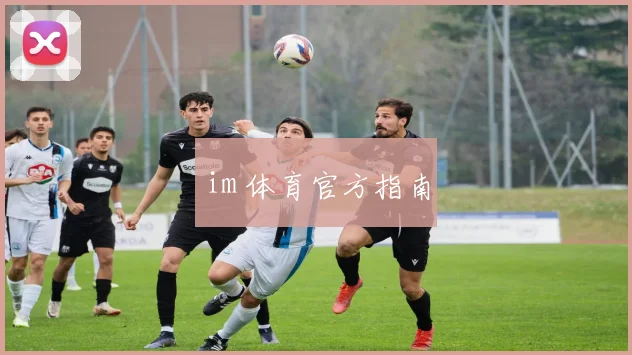 im 体育官方指南