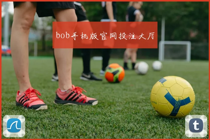 bob手机版官网投注大厅