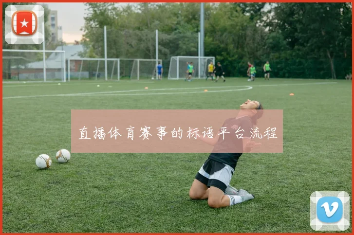 直播体育赛事的标语平台流程