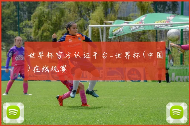世界杯官方认证平台_世界杯(中国)在线观赛