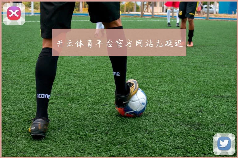 开云体育平台官方网站无延迟