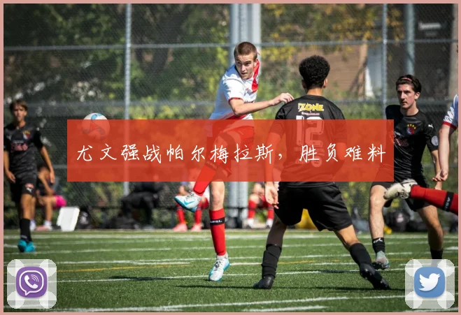 尤文强战帕尔梅拉斯,胜负难料