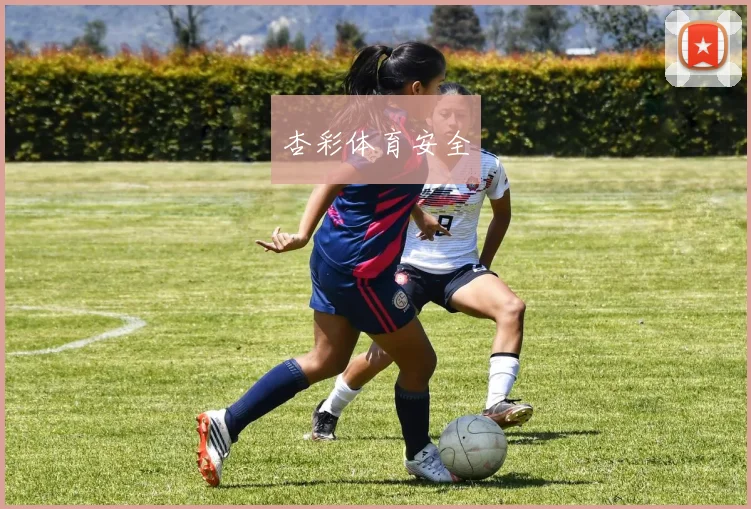 杏彩体育安全