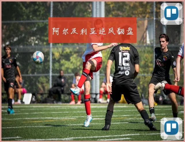 阿尔及利亚逆风翻盘
