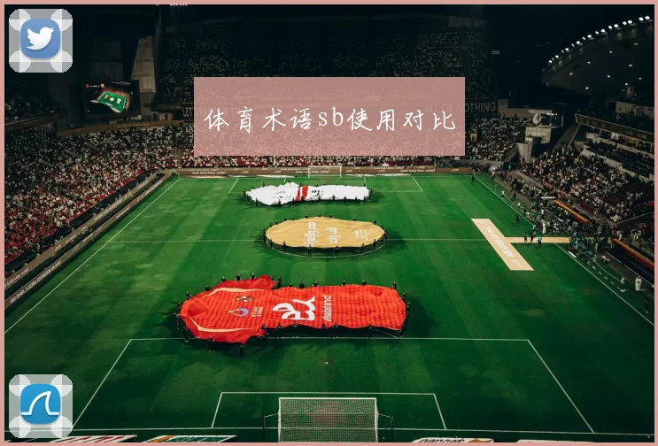 体育术语sb使用对比