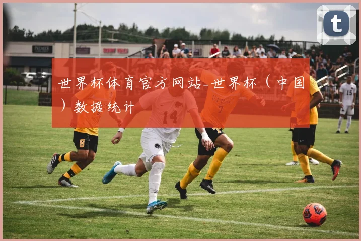 世界杯体育官方网站_世界杯（中国）数据统计
