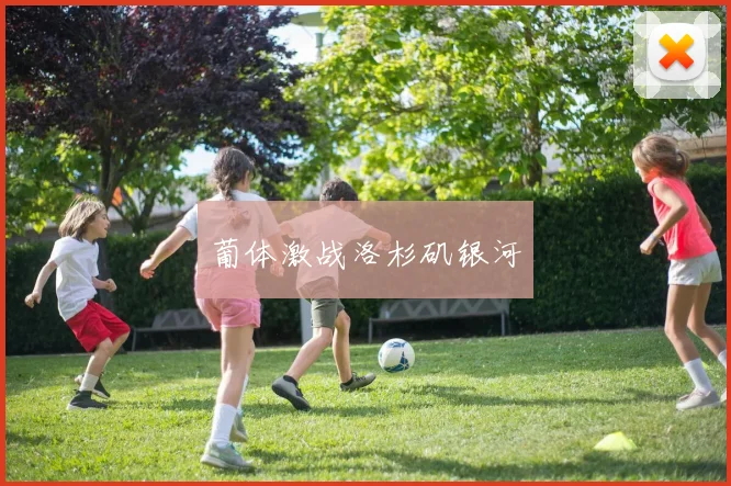 葡体激战洛杉矶银河