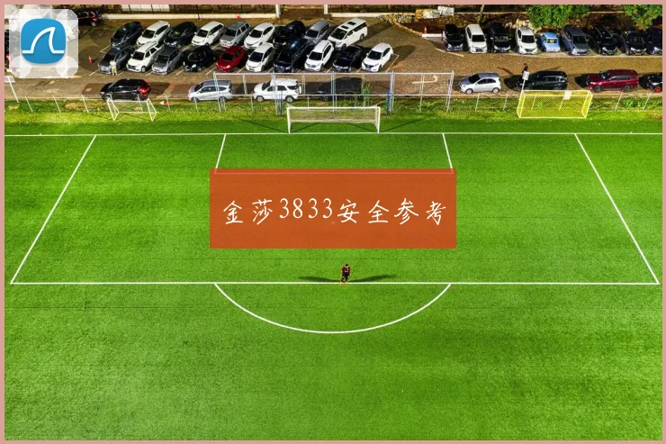 金莎3833安全参考