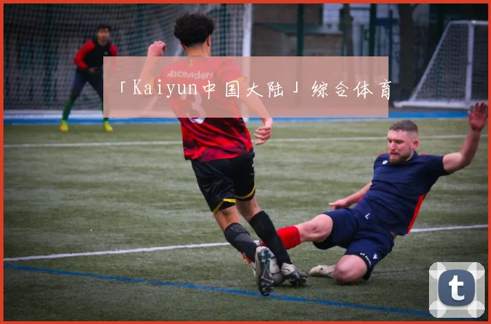 「Kaiyun中国大陆」综合体育