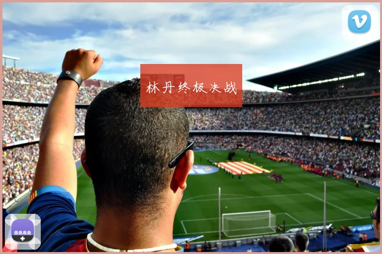 林丹终极决战