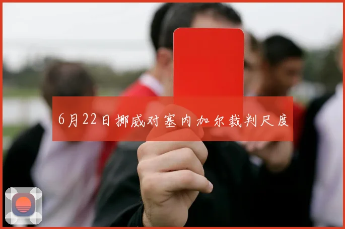 6月22日挪威对塞内加尔裁判尺度