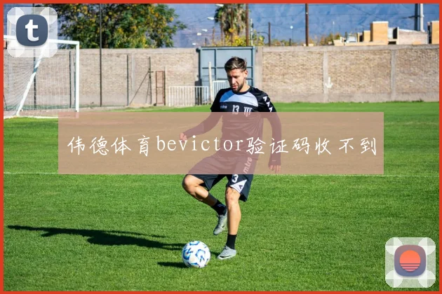伟德体育bevictor验证码收不到