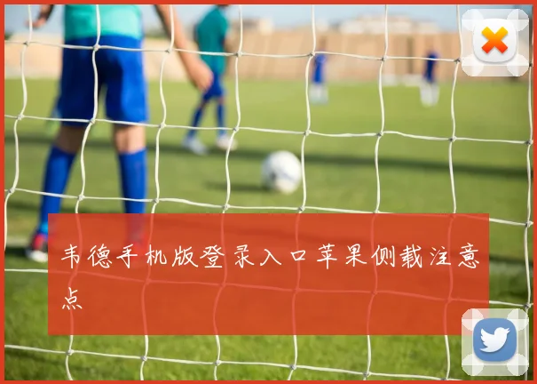 韦德手机版登录入口苹果侧载注意点