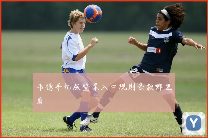 韦德手机版登录入口规则条款哪里看